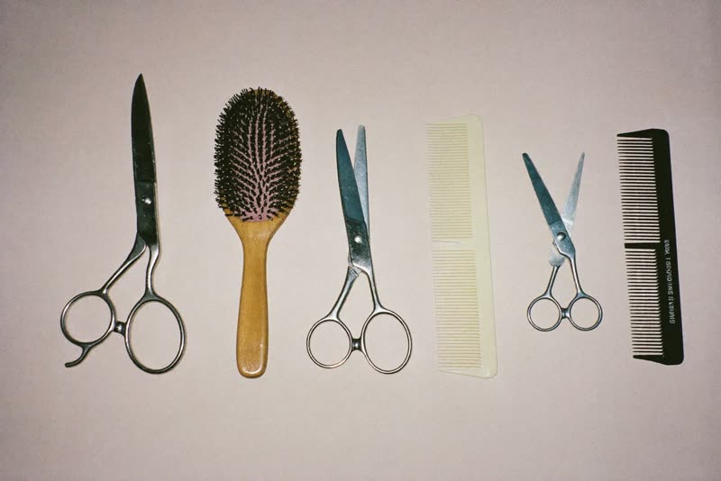 Grooming scissors, brushes and clippers laid out